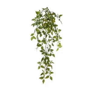 Mini viña Philodendrum color verde de 58 cm