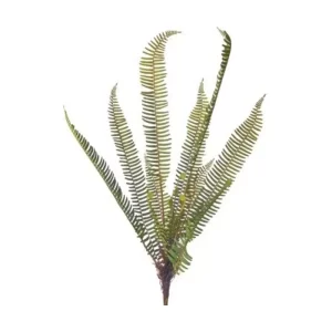 Planta Helecho color verde de 79 cm