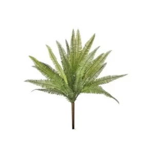 Helecho Arbusto color verde de 48 cm