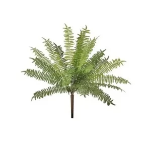 Helecho Arbusto color verde de 48 cm