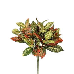 Hojas Croton color Multicolor de  x 36 cm