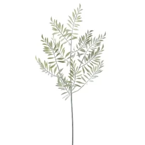 Follaje Acacia color Gris - Verde de  0 x  0 x 108 x 0 cm