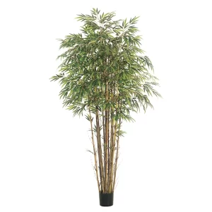 Bamboo color Verde de 213 cm