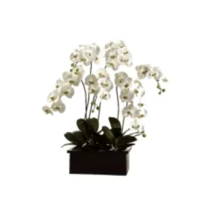 Phalaenopsis Maceta rectangular color Blanco de 73.7 x 101.6 x 798961.06 cm3