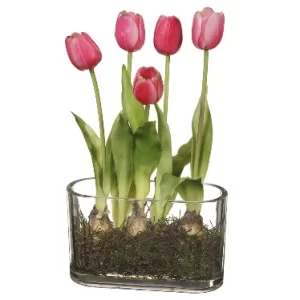 Arreglo Tulipan color Rosado de  0 x  0 x 33 x 0 cm