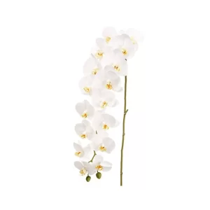Phalaenopsis color Blanco de 114.3cm