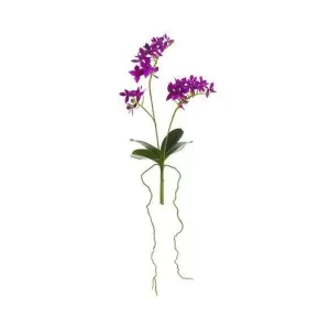 Phalaenopsis color Morado de 35.5cm