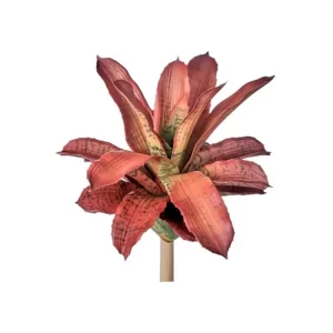 Bromelia color Rosado de 33cm