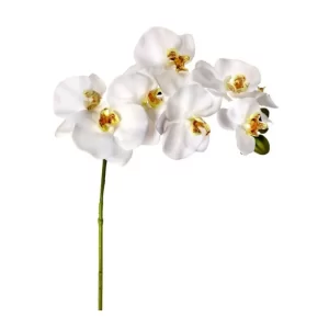 Phalaenopsis Color Blanco De 86 Cm