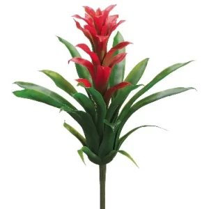 Bromelia color Rojo de  0 x  0 x 36 x 0 cm