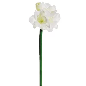 Amarilis color Blanco de  0 x  0 x 72 x 0 cm