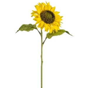 Girasol color Amarillo de  0 x  0 x 64 x 0 cm