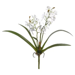 Mini Cattleya color Blanco de  0 x  0 x 41 x 0 cm