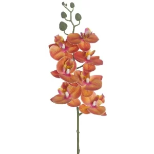 Phalaenopsis Color Anaranjado De 0 X 0 X 64 X 0 Cm