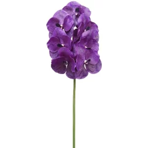 Orquidea Vanda color Morado de  0 x  0 x 84 x 0 cm