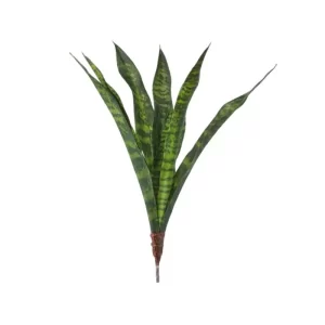Follaje Sanseveria color Verde de 60cm