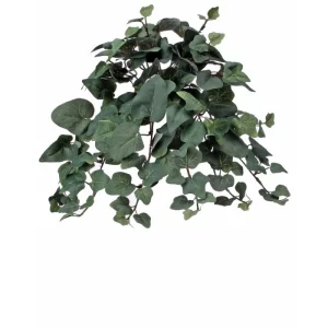 Arbusto Hiedra Lagrima  color Verde de  x 144 cm