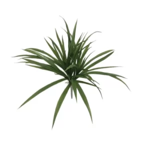 Arbusto Hierba color Verde de  x 41 cm