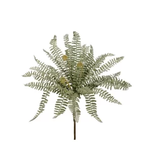 Arbusto Helecho color Verde de  x 41 cm