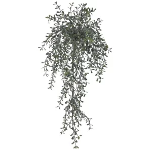 Arbusto Hojas de Té color Verde - Gris de  56 cm