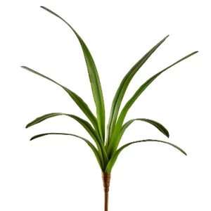 Hoja Orquidea color Verde de  0 x  0 x 67 x 0 cm