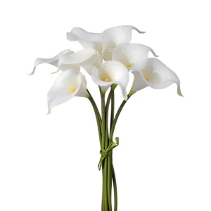 Bouquet Cala color Blanco de  x 36 cm