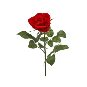 Rosa color Rojo de 64 cm