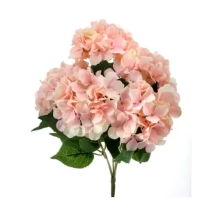 Hortensia color Rosado Pastel de  x 46 cm