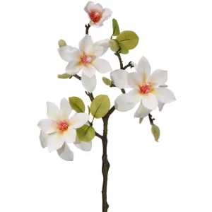 Rama Magnolia color Crema de  x 58 cm