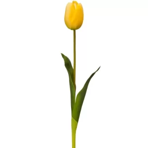 Tulipan color Amarillo de  x 58 cm