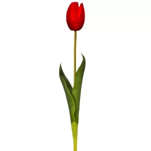 Tulipan color Rojo de  x 58 cm