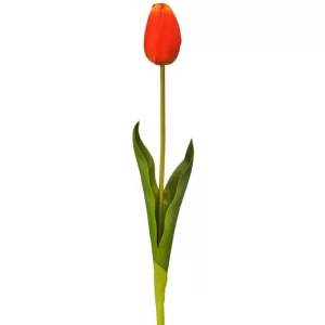 Tulipan color Anaranjado de  x 58 cm