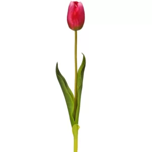 Tulipan color Fucsia de  x 58 cm