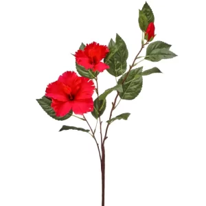 Cayena color Rojo de  x 74 cm