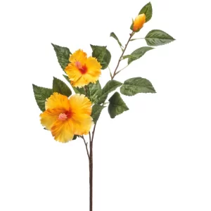 Cayena color Amarillo de  x 74 cm