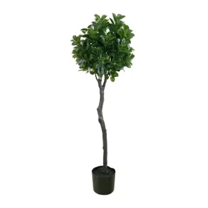 Topiario Ficus Italiano color verde - marrón de 43,18 x 43,18x 121,92 cm