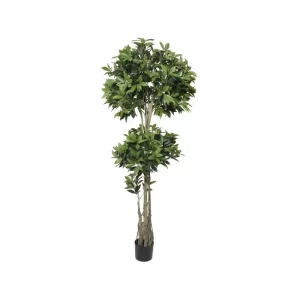 Arbusto doble color Verde - Negro de 183 cm