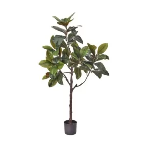 Árbol Hojas Magnolia color verde de 150 cm