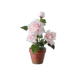 Rosas Maceta color BLANCO - ROSADO de 33 cm