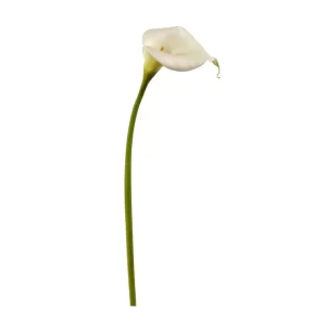Cala Lily color blanco - verde de 17,78 x 15,24 x 95,25 cm