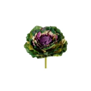 Flor Repollo color Verde - Lila de 5 x 5 x 325.00 cm3