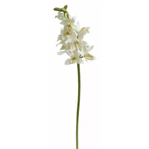 Orquídea Cluster Cymbidium color Blanco - Verde de x 51 cm